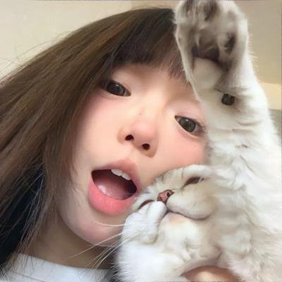 深夜中的企鹅